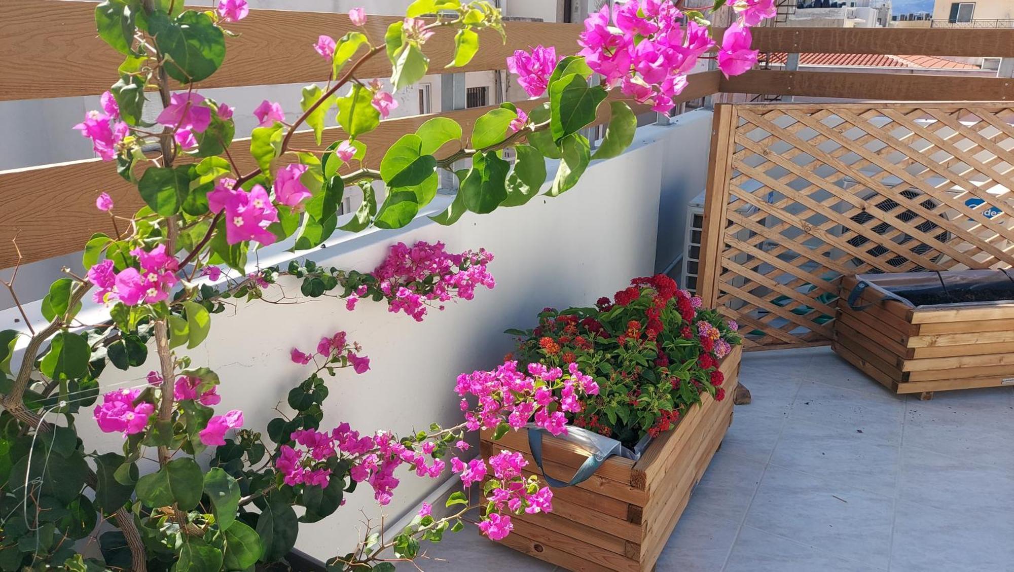 The Blue In The Heart Of Apartamento *